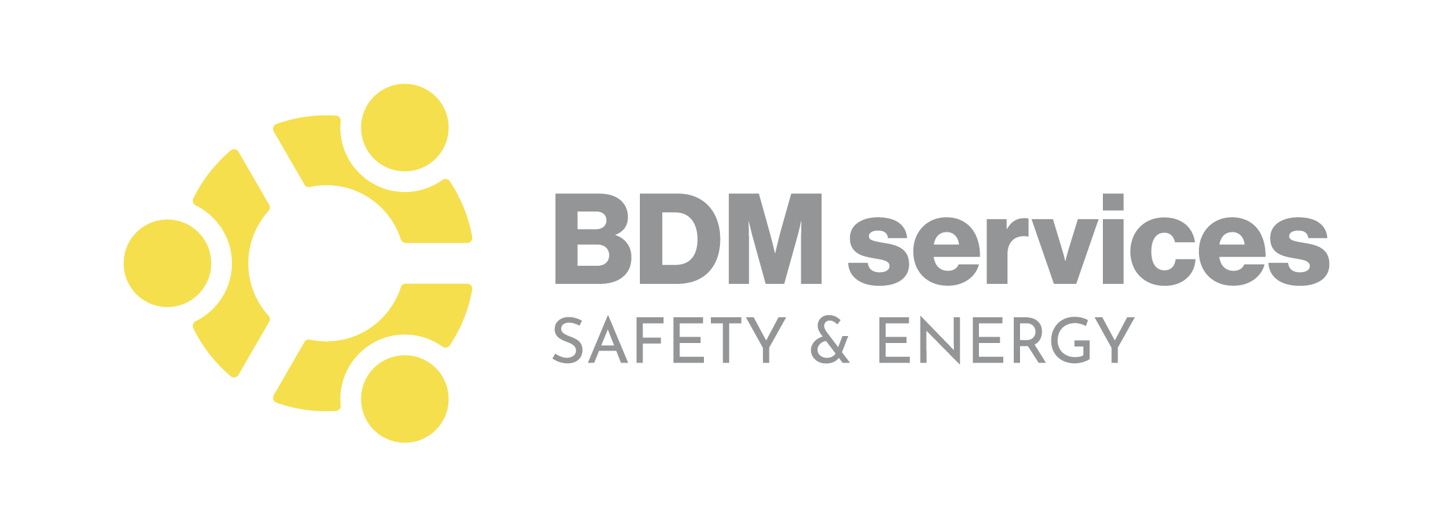 logo bdm servizi